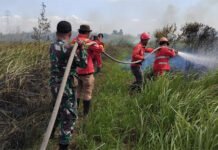 Babinsa Koramil 402-07/Indralaya Bersama Tim Gabungan Tangani Karhutla di Desa Rambutan