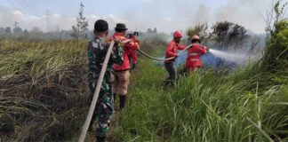 Babinsa Koramil 402-07/Indralaya Bersama Tim Gabungan Tangani Karhutla di Desa Rambutan