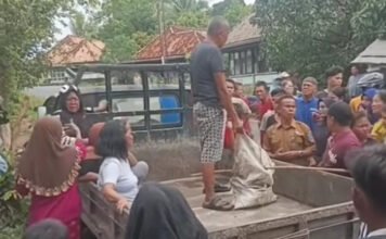 Heboh Penemuan Tengkorak di SP Padang, Identitas Korban Masih Misterius
