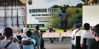 Desaku Maju Dorong Kemandirian Petani, 142 Peserta Ikuti Bimtek Pupuk Hayati Cair
