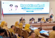 Pemkab Lampung Selatan Matangkan Halo Lamsel, Perkuat Layanan Publik Digital yang Cepat Hingga Transparan