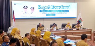 Pemkab Lampung Selatan Matangkan Halo Lamsel, Perkuat Layanan Publik Digital yang Cepat Hingga Transparan