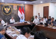 Laporkan Progres Dukungan KSPEAN Papua Selatan, Wamen Ossy Tegaskan Fondasi Kuat bagi Agenda Pembangunan Nasional
