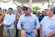 Lampung Jadi Daerah Pertama Pengembangan Bioetanol Nasional, Serap 24 Ribu Hektare Lahan Sorgum