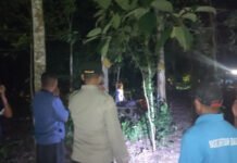 Polres Banyuasin Selidiki Penemuan Jenazah Pasutri di Kebun Karet Sembawa