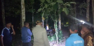 Polres Banyuasin Selidiki Penemuan Jenazah Pasutri di Kebun Karet Sembawa