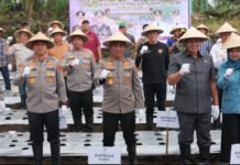 Kapolda Sumsel Pimpin Tanam Perdana Bawang Putih di Pagar Alam, Perkuat Ketahanan Pangan Nasional