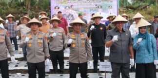 Kapolda Sumsel Pimpin Tanam Perdana Bawang Putih di Pagar Alam, Perkuat Ketahanan Pangan Nasional