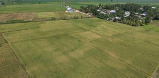 Kasdim 0402/OKI Tinjau Kesiapan Lokasi Panen Raya Serentak Bersama Presiden di Desa Jukdadak