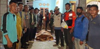 Empat Hari Dicari, Korban Serangan Buaya di Banyuasin Ditemukan Tepat di Hari Ulang Tahunnya