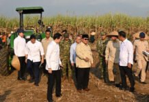 Dampingi Presiden Prabowo Panen Raya di Malang, Menteri Nusron: Ketahanan Pangan Butuh Kepastian Hukum Tanah