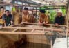 Gubernur Mirza Tinjau Penerapan PHC di Lampung Timur