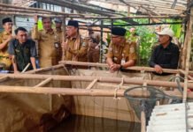 Gubernur Mirza Tinjau Penerapan PHC di Lampung Timur