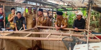 Gubernur Mirza Tinjau Penerapan PHC di Lampung Timur