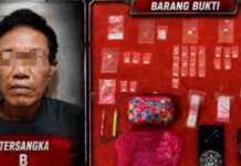 Pengedar Sabu Diciduk di Lubuk Keliat, Polisi Ungkap Barang Bukti Nyaris 10 Gram