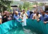 Bupati Tapsel Salurkan Bantuan Kolam Lele untuk Percepat Swasembada Ikan di Sipirok