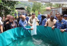 Bupati Tapsel Salurkan Bantuan Kolam Lele untuk Percepat Swasembada Ikan di Sipirok