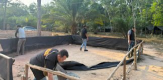 Arena Diduga Sabung Ayam Dibongkar, Polres OKI Ingatkan Warga Jauhi Perjudian