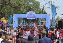 Karnaval Budaya Pemkab OKI Bersama Bank Sumsel Babel, Rayakan Keberagaman Hingga Geliatkan Ekonomi Kerakyatan