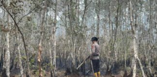 Tim Gabungan Operasi Aman Nusa II Kendalikan Karhutla 9 Hektare di PT MBJ OKI