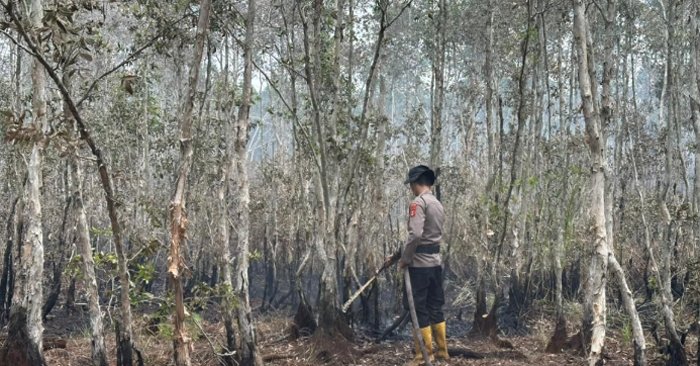 Tim Gabungan Operasi Aman Nusa II Kendalikan Karhutla 9 Hektare di PT MBJ OKI