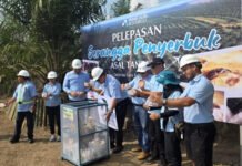Perkuat Penyerbukan Kelapa Sawit, PT Prime Agri Resources Introduksi Serangga Asal Tanzania