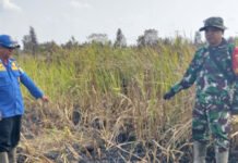 Babinsa Koramil 402-13/Sungai Menang Berjibaku Padamkan Karhutla di Desa Sungai Tepuk