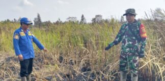 Babinsa Koramil 402-13/Sungai Menang Berjibaku Padamkan Karhutla di Desa Sungai Tepuk