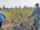 Babinsa Koramil 402-13/Sungai Menang Berjibaku Padamkan Karhutla di Desa Sungai Tepuk