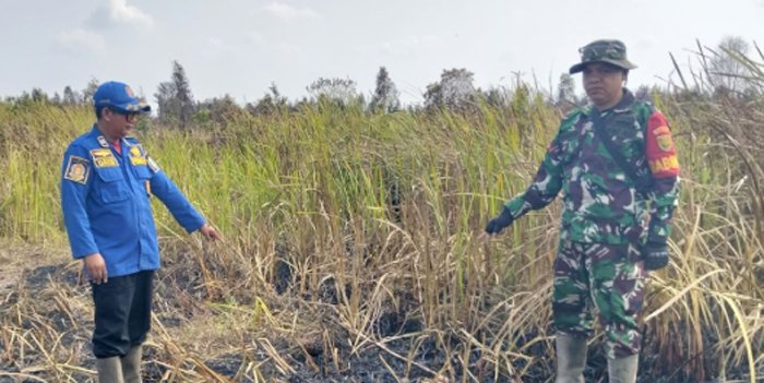 Babinsa Koramil 402-13/Sungai Menang Berjibaku Padamkan Karhutla di Desa Sungai Tepuk