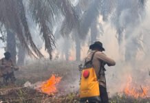 Polda Sumsel Kerahkan Personel Tangani Karhutla di Wilayah PT PAR OKI