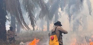 Polda Sumsel Kerahkan Personel Tangani Karhutla di Wilayah PT PAR OKI