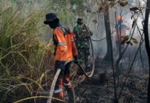 Danramil 402-07/Indralaya Bersama Babinsa Berjibaku Padamkan Karhutla di Desa Pulau Semambu
