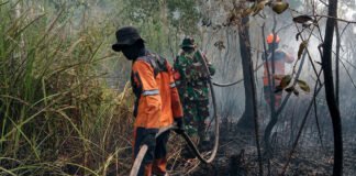 Danramil 402-07/Indralaya Bersama Babinsa Berjibaku Padamkan Karhutla di Desa Pulau Semambu