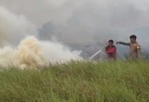 Karhutla Landa Pulau Semambu, Tim Gabungan Berjibaku Padamkan Api