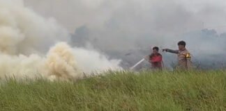 Karhutla Landa Pulau Semambu, Tim Gabungan Berjibaku Padamkan Api