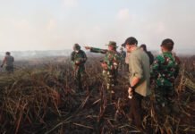 Tim Alfa TNI Diterjunkan Padamkan Karhutla di Way Kambas