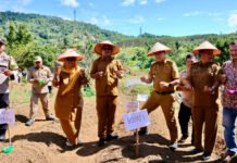 Tapsel Genjot Ekonomi Warga Huntara Lewat Bawang Merah
