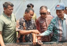 Dari Marancar ke Singapura, GJI Angkat Kopi Robusta Tapsel
