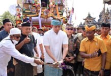 Megahnya Ngaben Massal Balinuraga, Tradisi Suci Terbesar di Indonesia yang Menghidupkan Desa dan Merekatkan Ikatan Keluarga