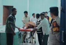 Tengah Atur Perlintasan, Petugas Linmas Prabumulih Tewas Terserempet KA Babaranjang