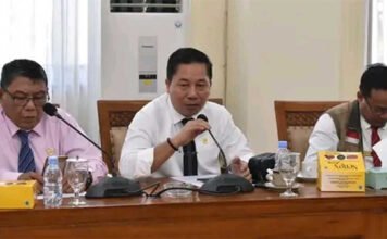 Pemkab Ogan Ilir Gerak Cepat Tangani Jalan Dipenuhi Semak Belukar