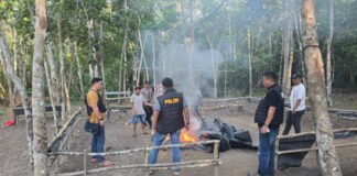 Polres OKI Selidiki Dugaan Perjudian Sabung Ayam di Pematang Panggang