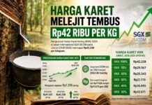 Akhir Pekan, Harga Karet Sumsel Melejit Tembus Rp42 Ribu per Kilogram