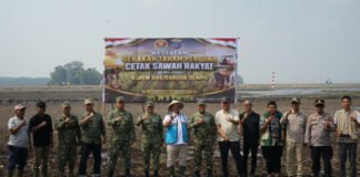 Cetak Sawah Rakyat Dimulai, Dandim 0402/OKI Dampingi Danrem 044/Gapo Tanam Perdana di Pangkalan Lampam