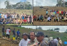 Pacu Pertanian, Syahrul Pasaribu Dorong Ekonomi Tapsel Bangkit