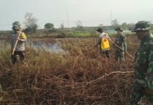 Babinsa Koramil 402-03/SP Padang Padamkan Karhutla Seluas 6 Hektare di Desa Batun Baru