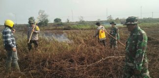Babinsa Koramil 402-03/SP Padang Padamkan Karhutla Seluas 6 Hektare di Desa Batun Baru