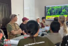 Tim ENP Thailand Tinjau Pembangunan Way Kambas, Dorong Konservasi Gajah dan Pariwisata
