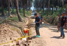 Polres Muba Gerak Cepat Ungkap Kasus Penemuan Jenazah di Area Perkebunan Sawit